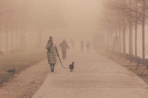 fog, road, people, haze, city, park, brown, walking, people, people, people, people, people